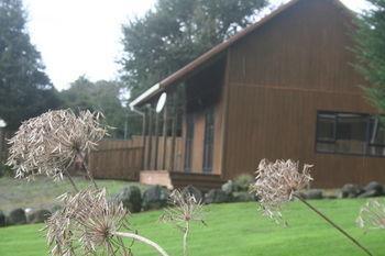 Ariari Lodge, Lake Rotorangi Stratford Εξωτερικό φωτογραφία